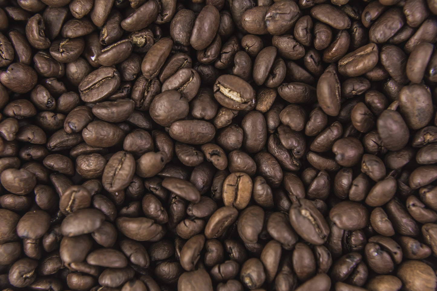 Wholesale Coffee